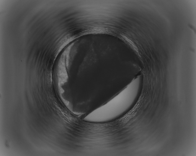 X0000097501226200803201545