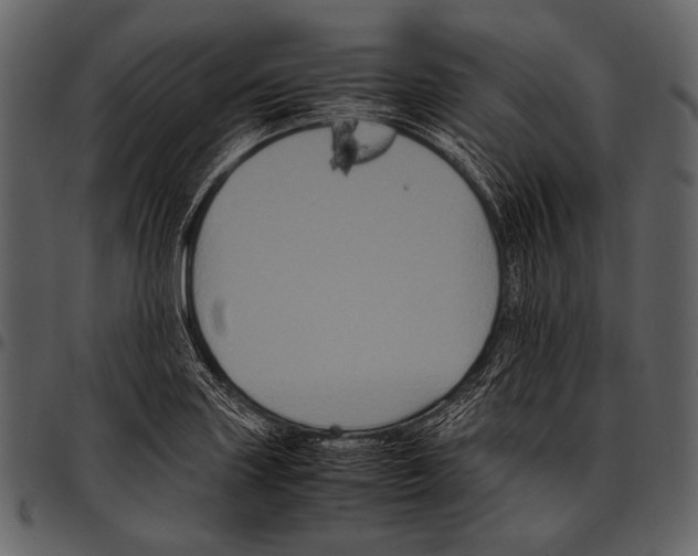 X0000097501227200803201545