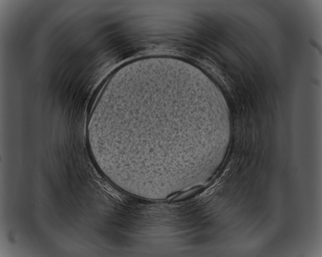 X0000097501228200803201545