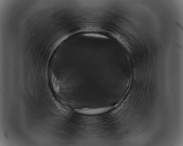X0000097501229200803201545
