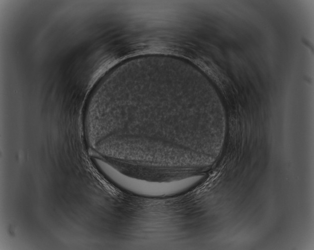 X0000097501230200803201545