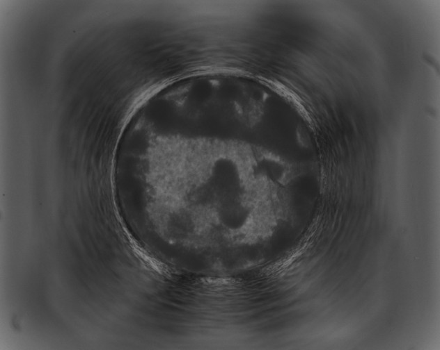 X0000097501231200803201545