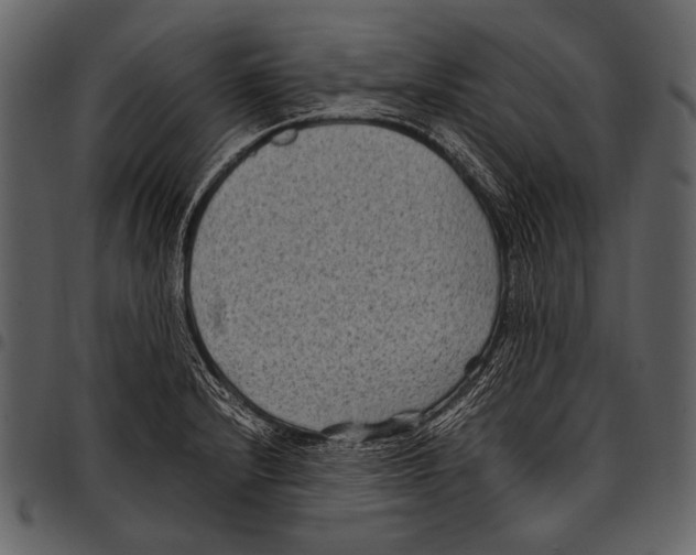 X0000097501232200803201545