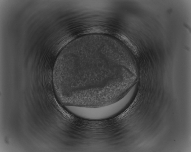 X0000097501233200803201545