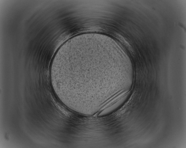 X0000097501234200803201545