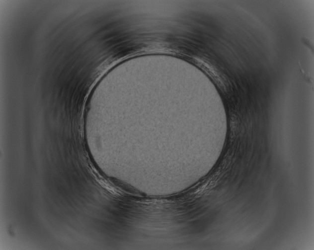 X0000097501236200803201545