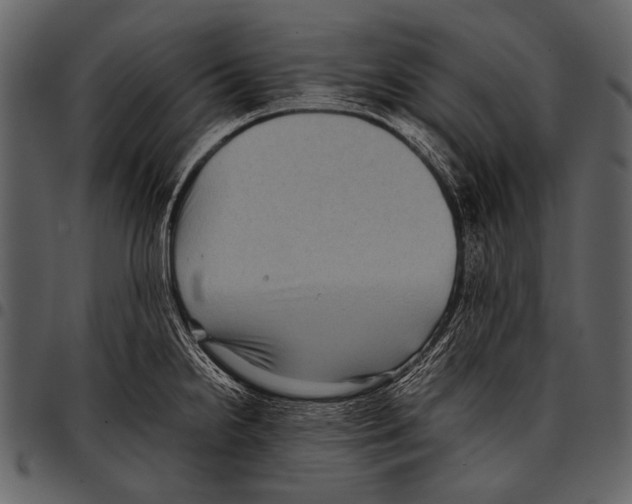 X0000097501238200803201545