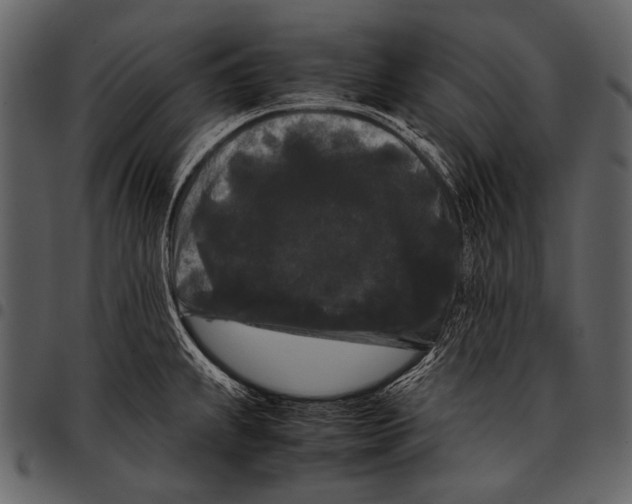 X0000097501239200803201545