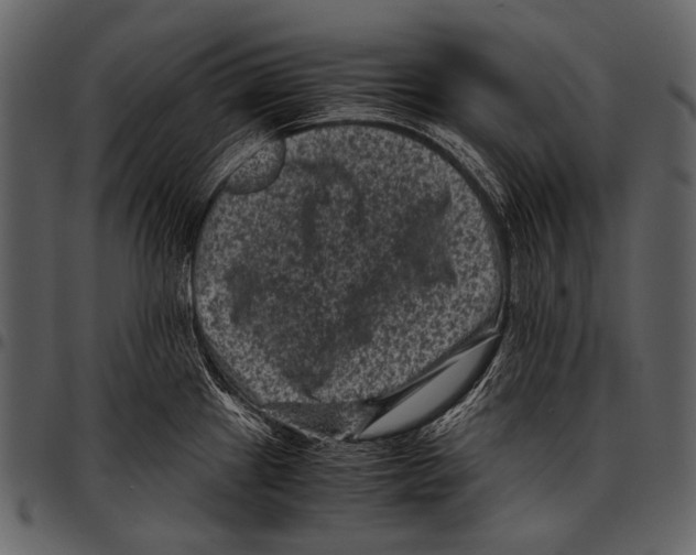 X0000097501241200803201545