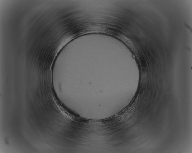 X0000097501242200803201545