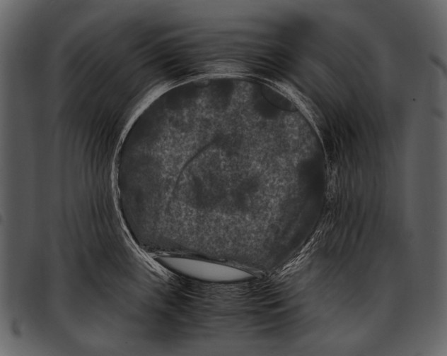 X0000097501243200803201545