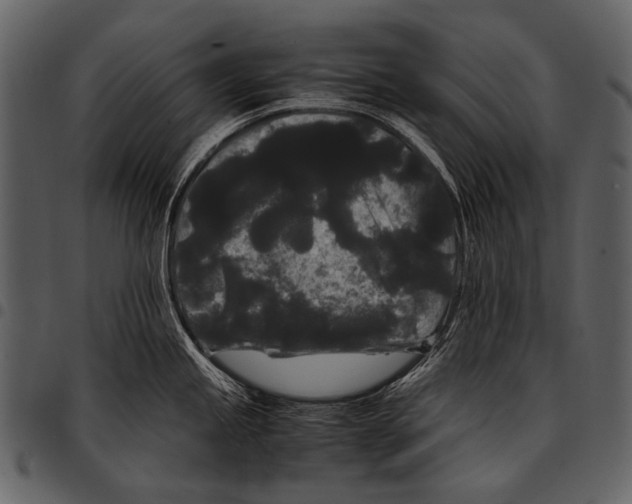 X0000097501245200803201545