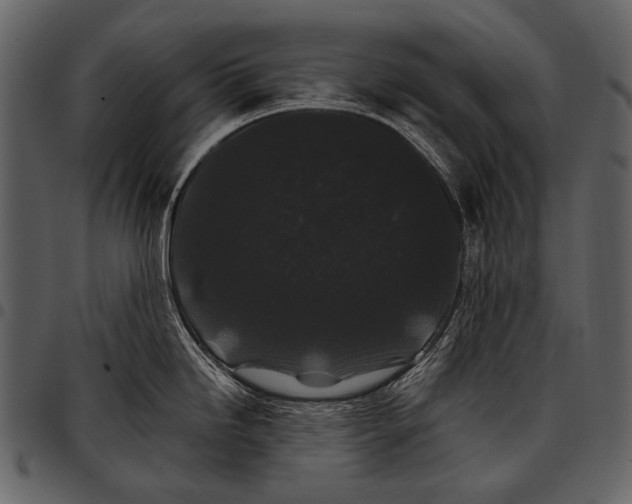 X0000097501246200803201545