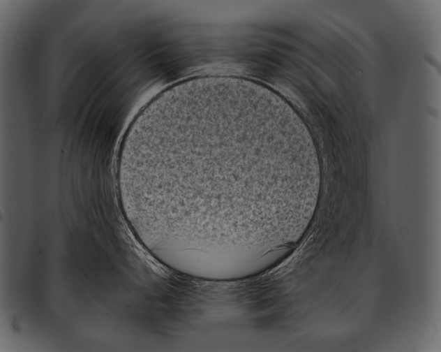 X0000097501248200803201545