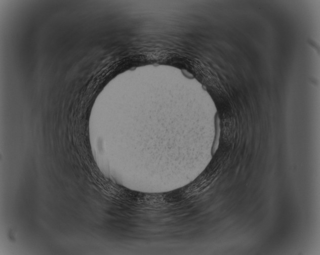 X0000097501249200803201545
