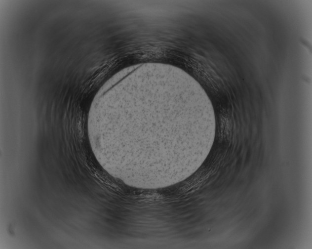 X0000097501250200803201545