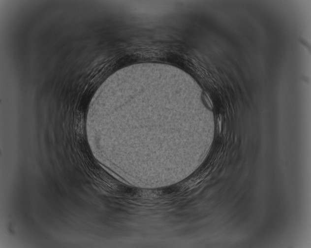 X0000097501251200803201545