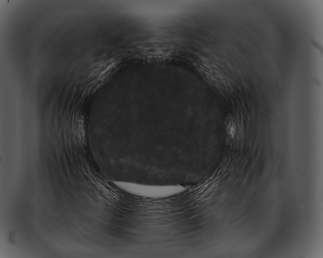 X0000097501252200803201545
