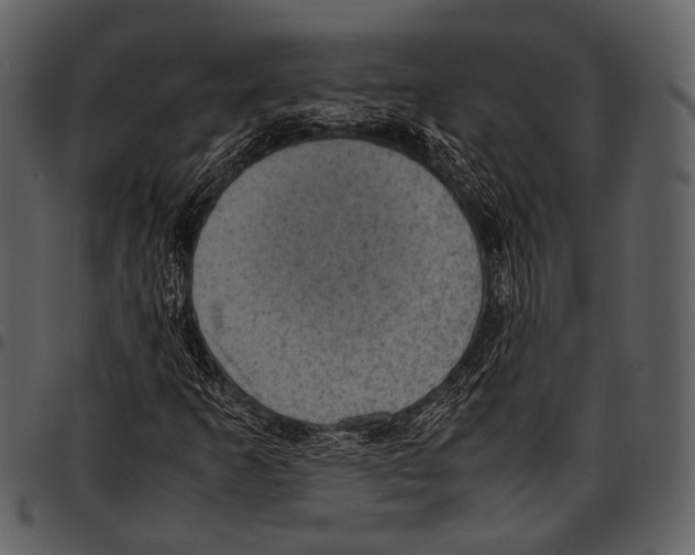 X0000097501253200803201545