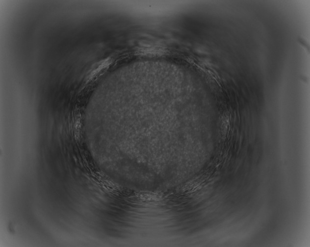 X0000097501254200803201545
