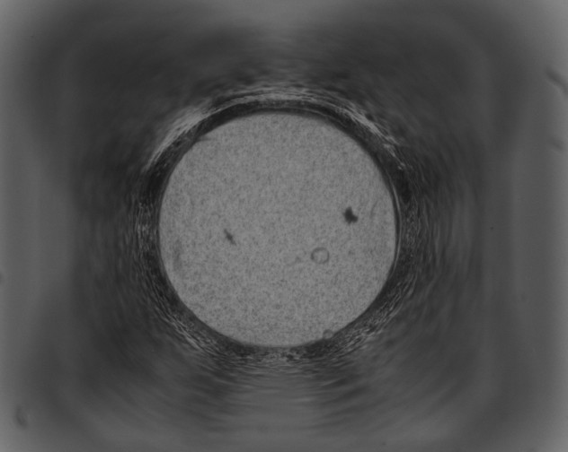 X0000097501255200803201545