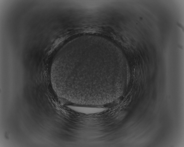 X0000097501256200803201545