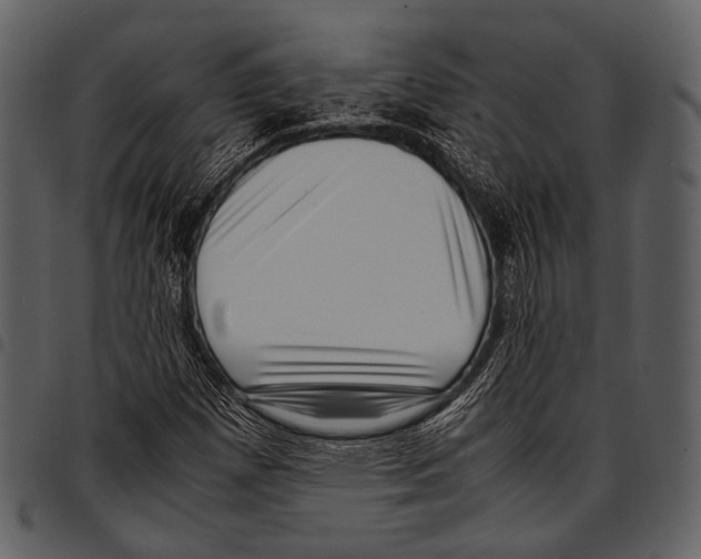 X0000097501257200803201545