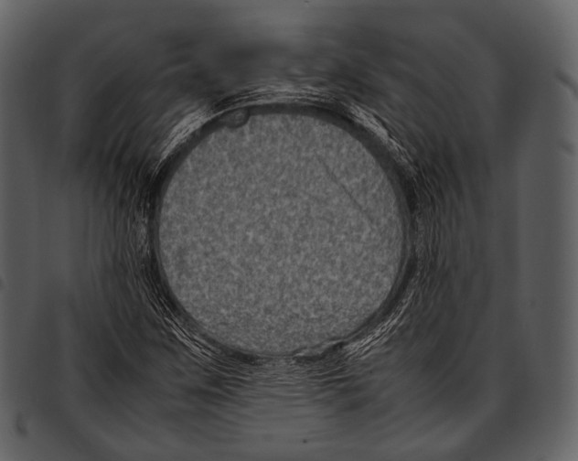 X0000097501259200803201545