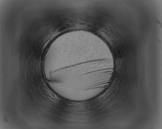 X0000097501260200803201545