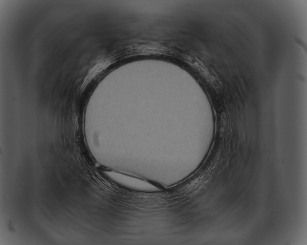 X0000097501261200803201545