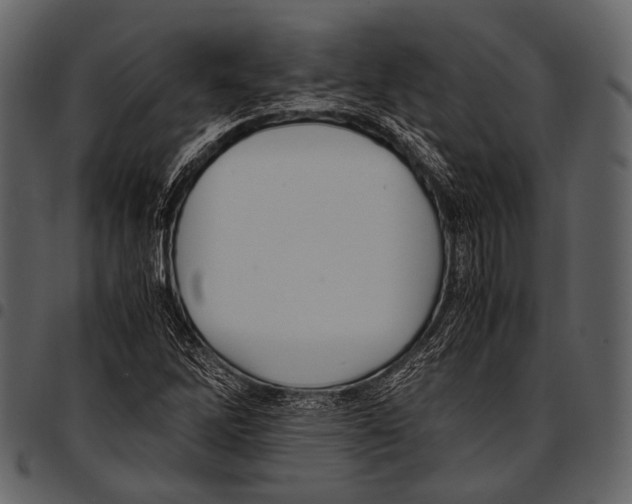 X0000097501262200803201545