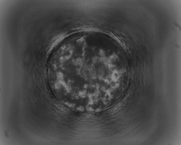 X0000097501263200803201545