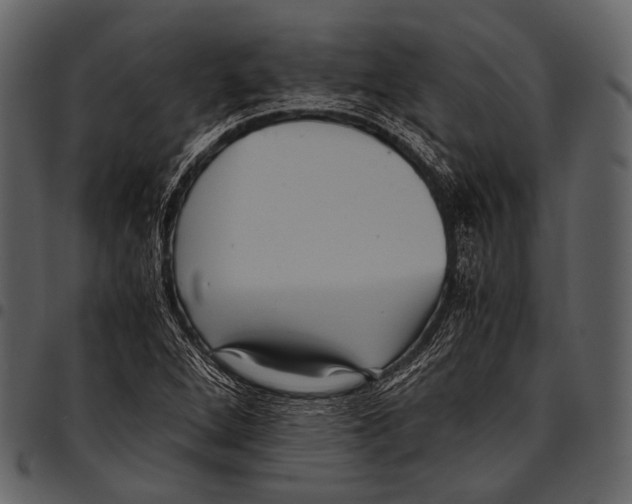 X0000097501264200803201545