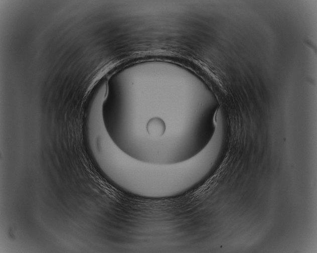 X0000097501266200803201545