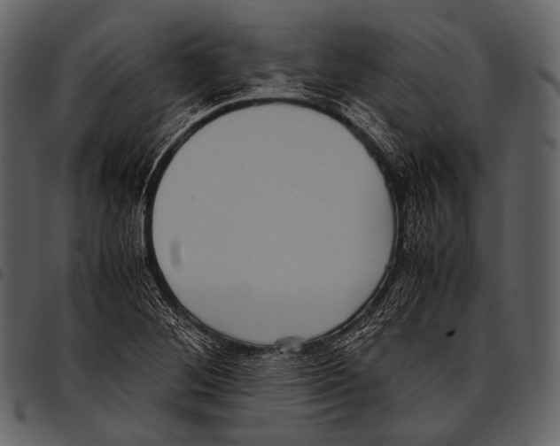 X0000097501268200803201545
