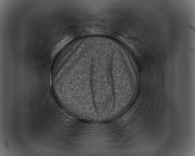 X0000097501269200803201545