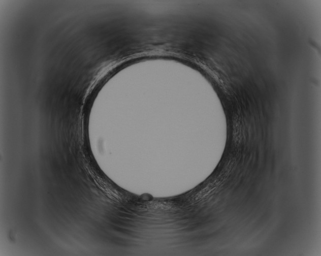 X0000097501270200803201544