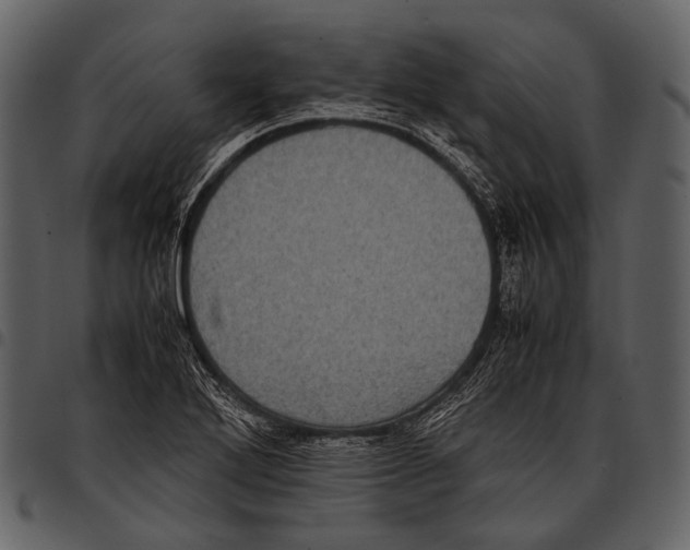 X0000097501272200803201544