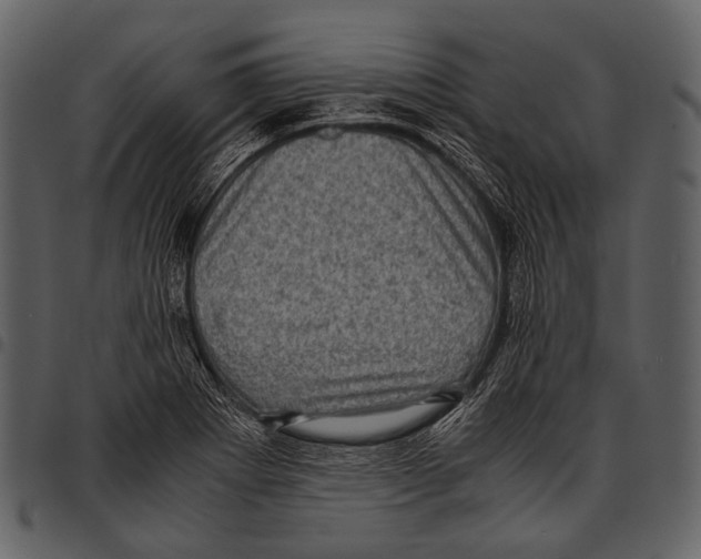 X0000097501273200803201544