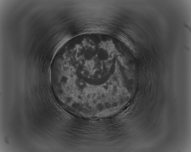 X0000097501275200803201544