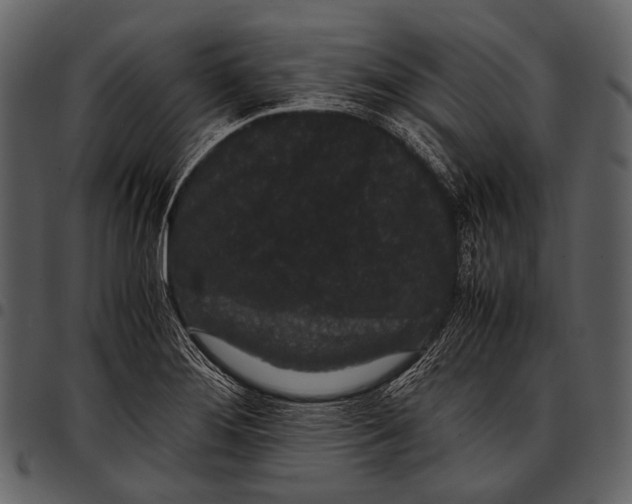 X0000097501276200803201544