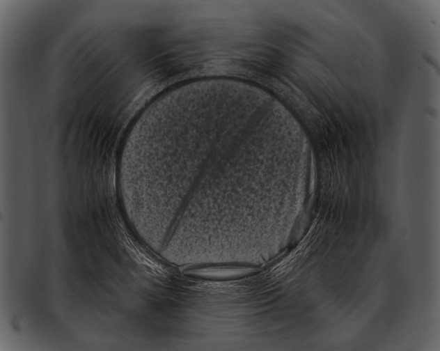 X0000097501280200803201544