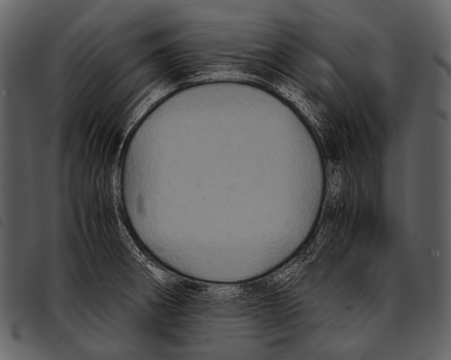 X0000097501282200803201544