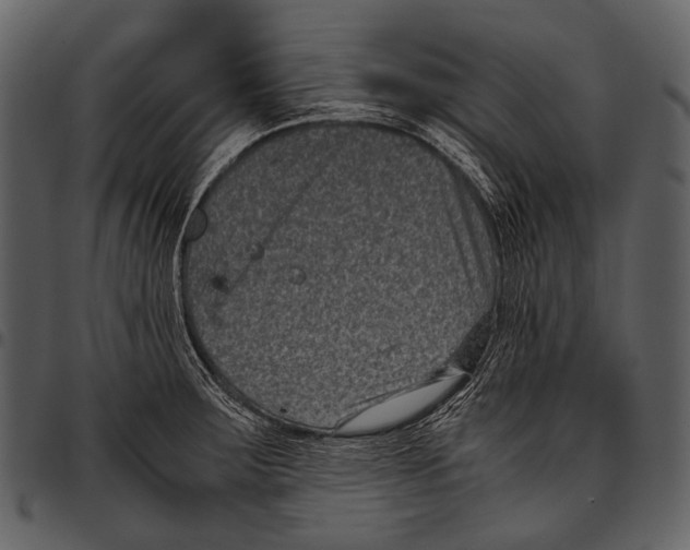 X0000097501283200803201544