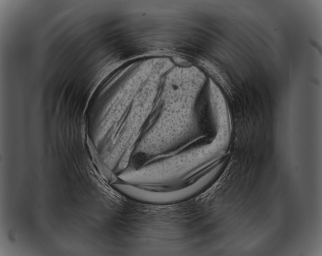 X0000097501284200803201544