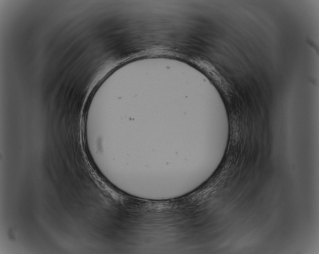 X0000097501286200803201544