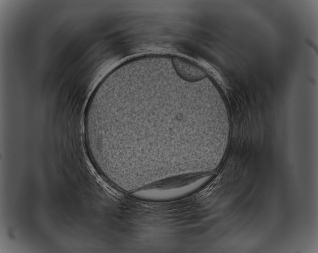 X0000097501287200803201544