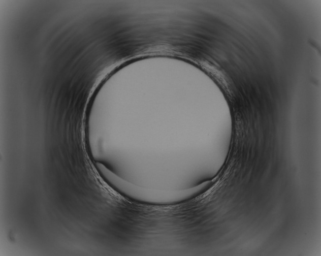 X0000097501288200803201544