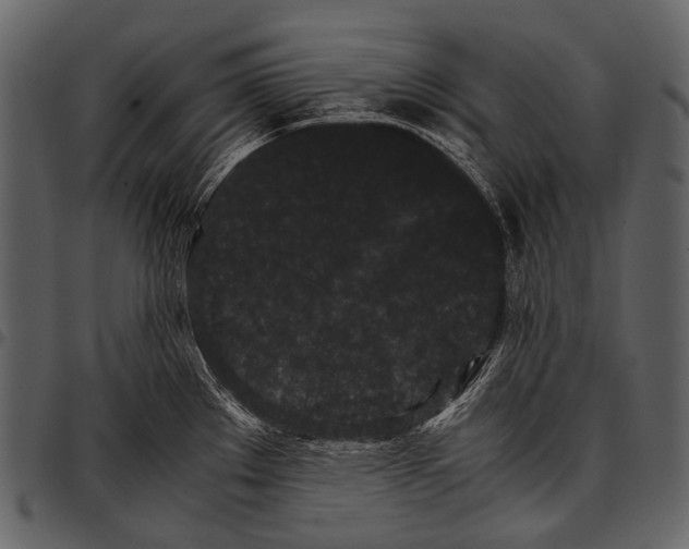 X0000097501289200803201544