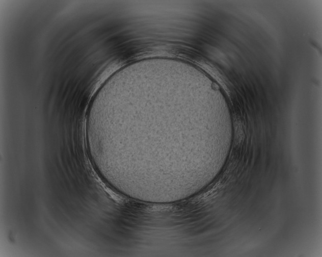 X0000097501290200803201544